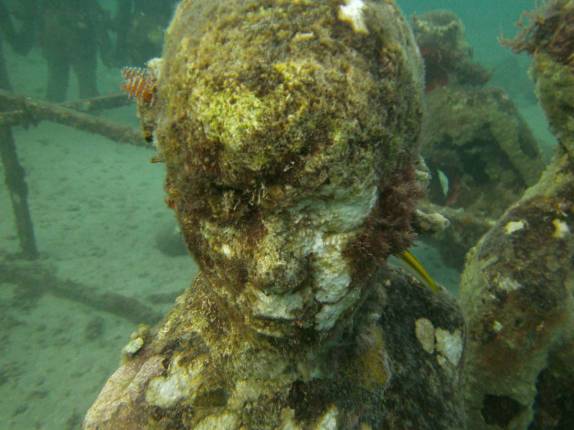 A vida cresce nas esculturas do Sculptures Park, em Granada